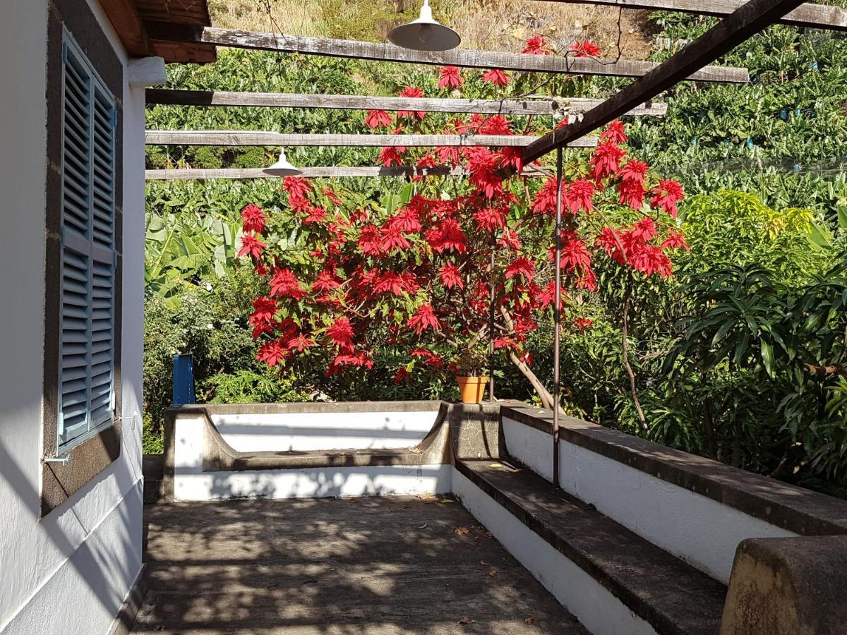 Casa Da Madalena Do Mar Villa Dış mekan fotoğraf
