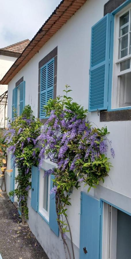 Casa Da Madalena Do Mar Villa Dış mekan fotoğraf