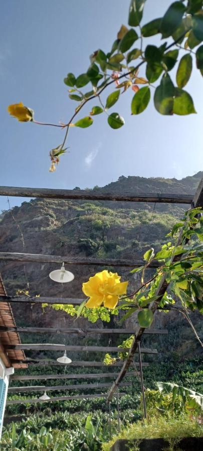 Casa Da Madalena Do Mar Villa Dış mekan fotoğraf